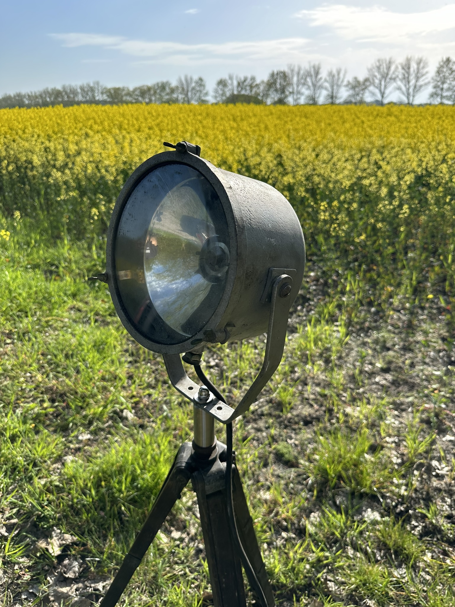 Flutlicht – Rohmetall-Test im Rapsfeld